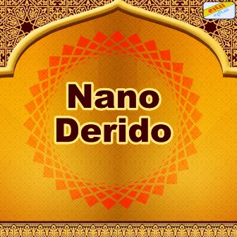 Nano Derido by Jayshree Bhojviya