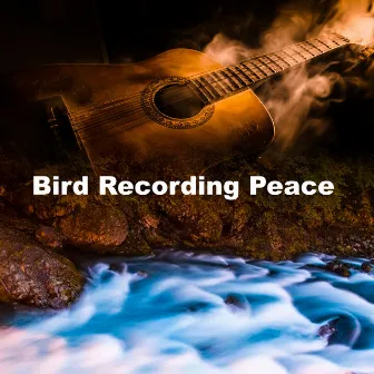 Bird Recording Peace by Bird Recordings