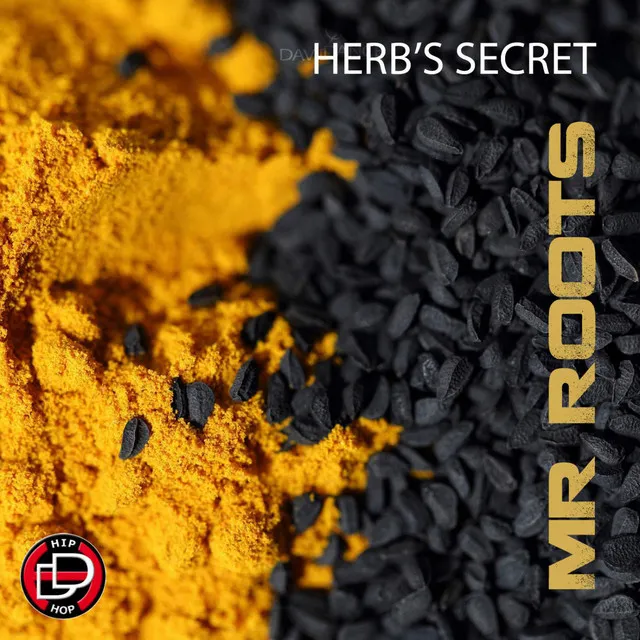 Herb's Secret - Original mix