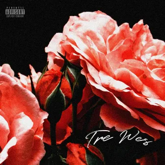 Smell the Roses by Tré Wes