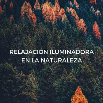 Relajación Iluminadora En La Naturaleza by Naturaleza 101