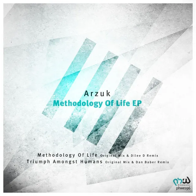 Methodology of Life - Dilee D Remix