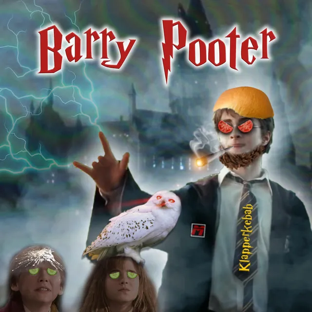 Barry Pooter