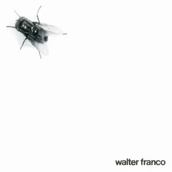 Ou não by Walter Franco