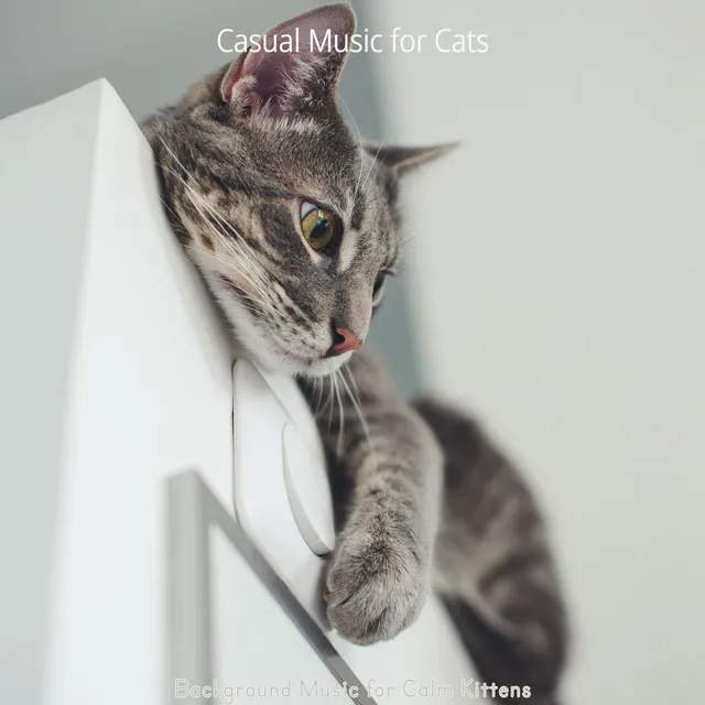 Tasteful Moods for Calming Your Cat