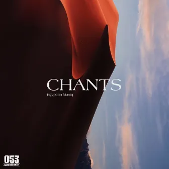 CHANTS by Unknown Artist