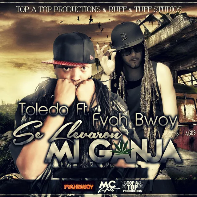 Se Llevaron Mi Ganja (feat. Fyahbwoy)