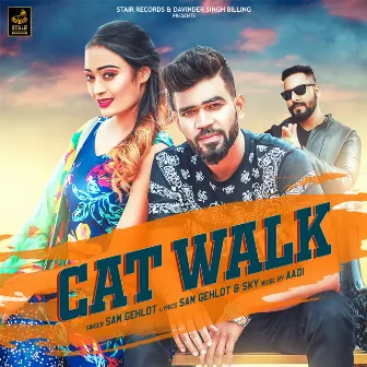 Cat Walk by Sam Gehlot