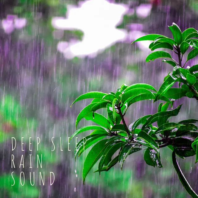 Rainfall in the Jungle Sound (Sleep & Relax Sound Loopable)