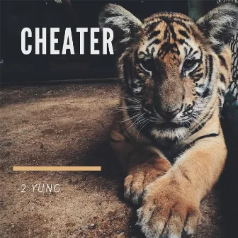 Cheater by 2 Yung