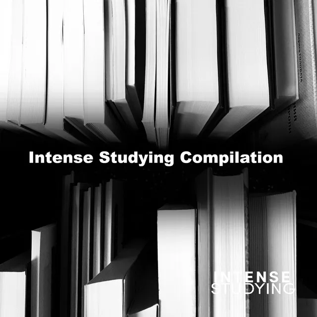 Intense Studying Compilation