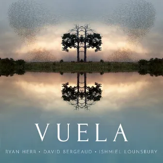 Vuela by David Bergeaud