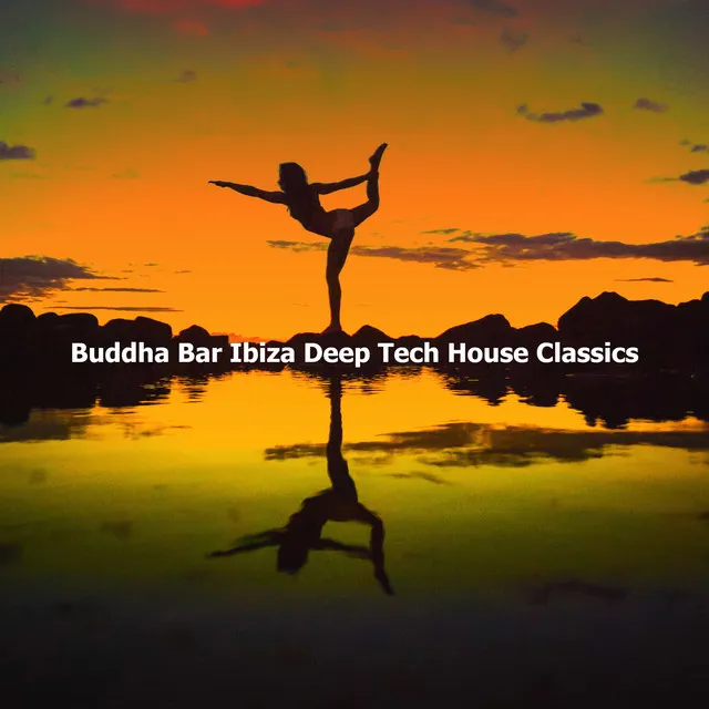 Ibiza Tech House Classics