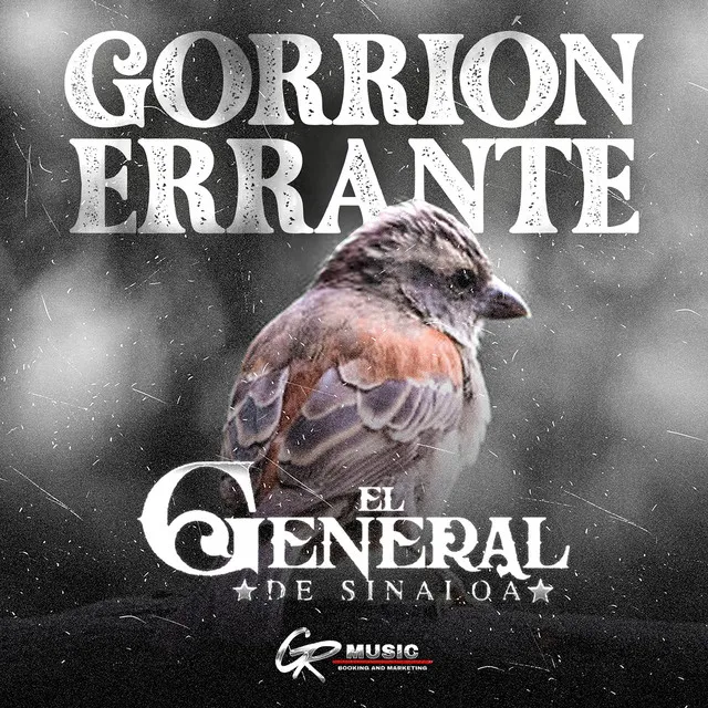 Gorrión Errante (En Vivo)