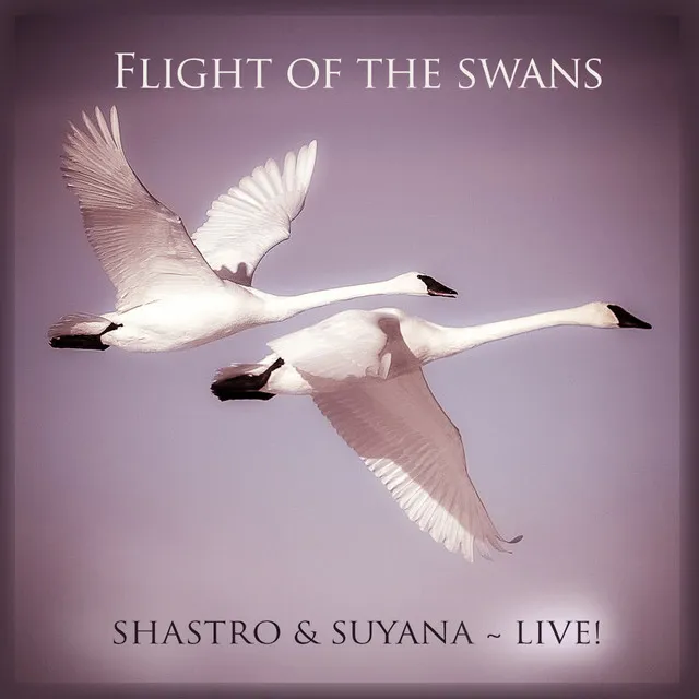 Flight of the Swans - Live