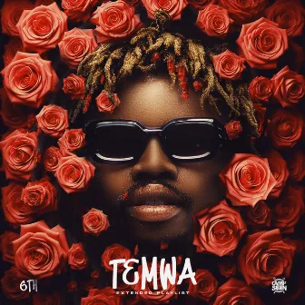 TEMWA EP by 6th Mw