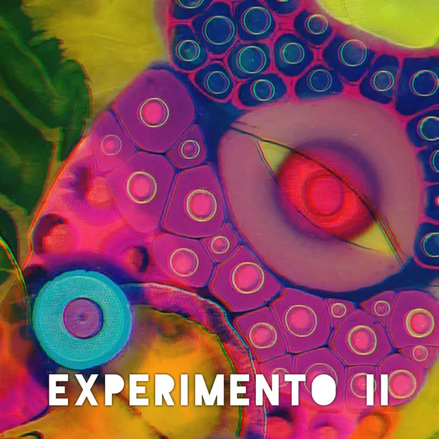 Experimento II