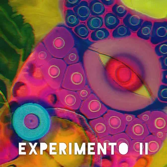 Experimento II by Terence McKenna