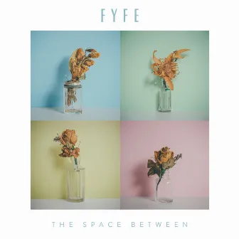 The Space Between by Fyfe