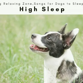 1001 High Sleep by Songs for Dogs to Sleep To