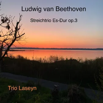 Ludwig van Beethoven Streichtrio Es-Dur, Op. 3 by Trio Laseyn