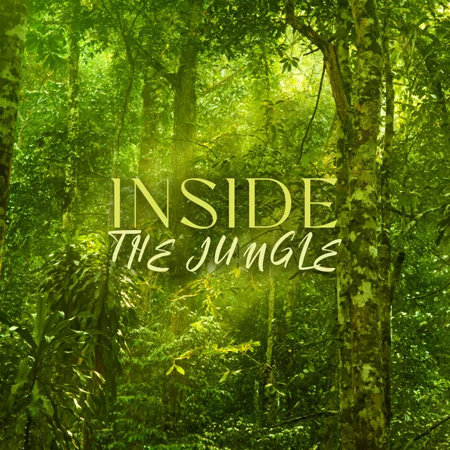 Inside the Jungle: Beautiful Nature’s Symphony