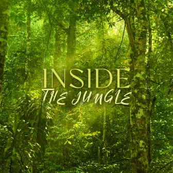 Inside the Jungle: Beautiful Nature’s Symphony by Beautiful Nature Music Paradise