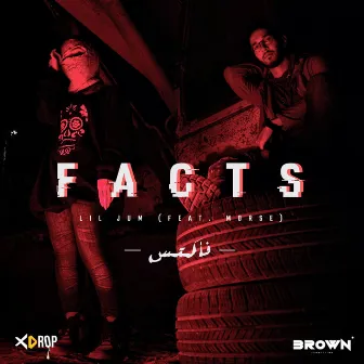 Facts by Lil Jum