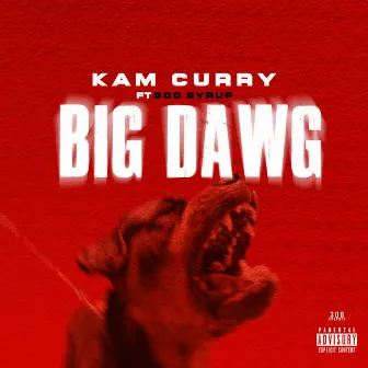 Big Dawg by Kam Curry