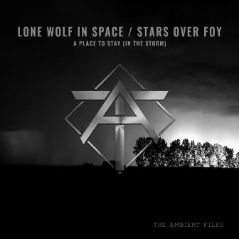 A Place to Stay (In The Storm) by Lone Wolf in Space