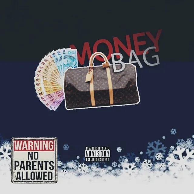 Money Bag