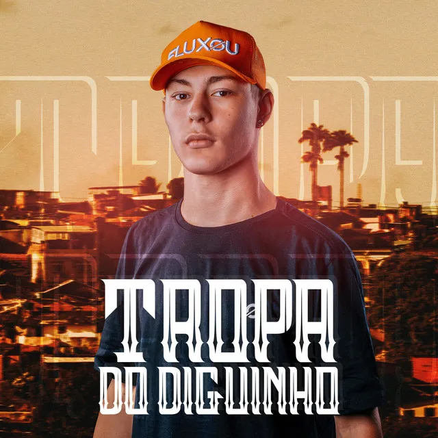 Mega Funk Tropa do Diguinho