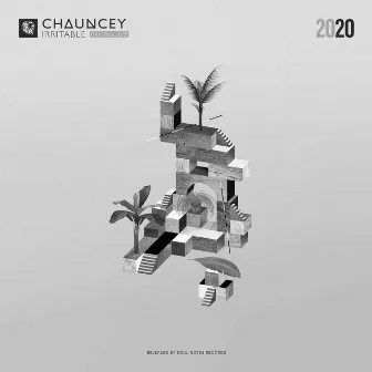 Irritable by Chauncey