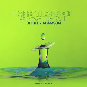 Every Teardrop Is a Waterfall (Dataset Remix) by Shirley Adamson