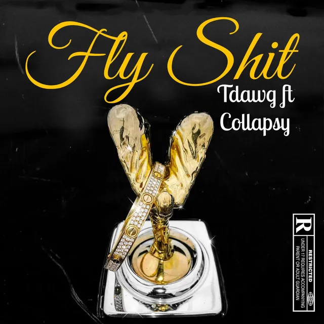 FLY SHIT