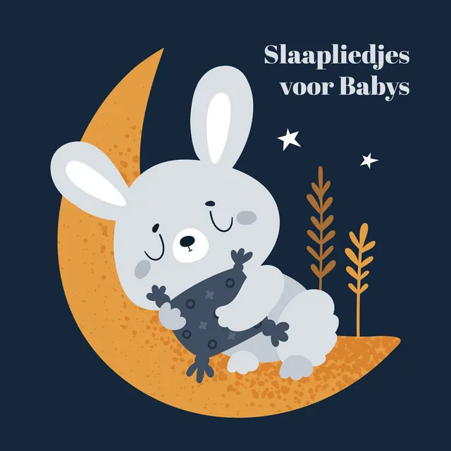 Slaapliedjes voor Babys: Rustige Nacht Gewenst, Beste Slaapmiddel