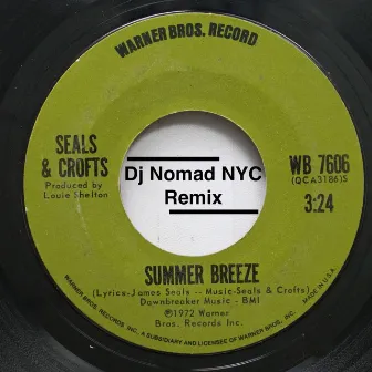 Summer Breeze (Instrumental) by DJ Nomad NYC