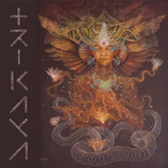 Trikaya by Trikaya