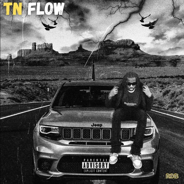 TN Flow