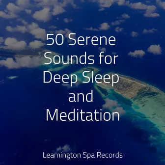 50 Serene Sounds for Deep Sleep and Meditation by Nature Sounds Collection