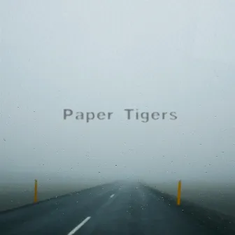 Paper Tigers by Omaure