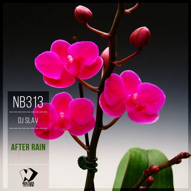 After Rain - Original Mix