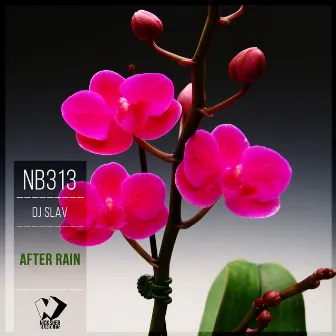 After Rain by Dj Slav