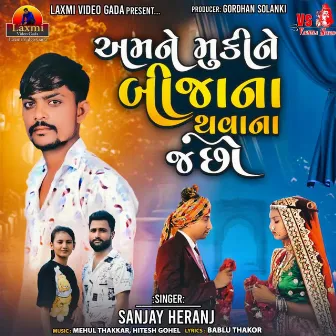 Amne Muki Ne Bija Na Thavana J Chho by Sanjay Heranj