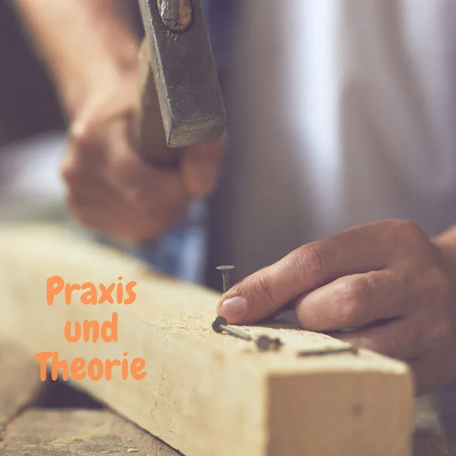 Praxis und Theorie