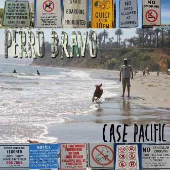 Case Pacific by Perro Bravo