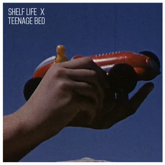 Shelf Life X Teenage Bed by Teenage Bed