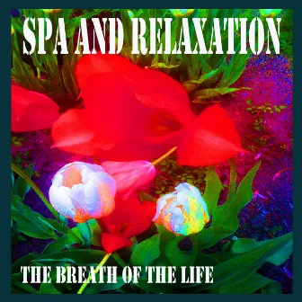 Spa and Relaxation by The Breath of Life