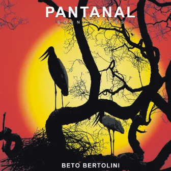 Pantanal by Beto Bertolini