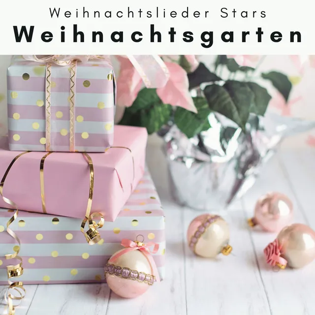 1 Weihnachtsgarten